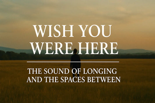The Meaning of Wish You Were Here by Pink Floyd